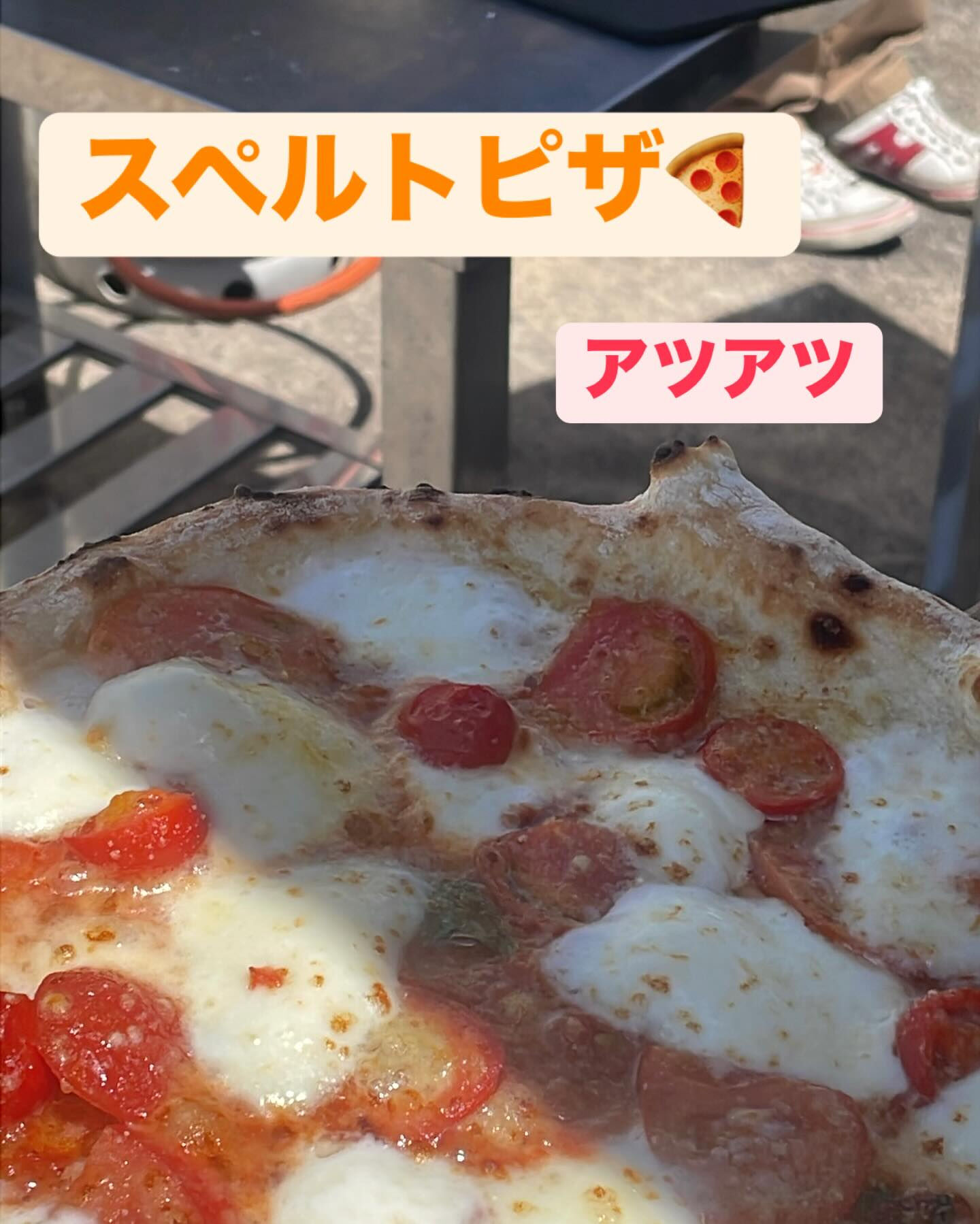 今日は弊社に北海道産スペルト小麦を使ったピザを食べてもらいた