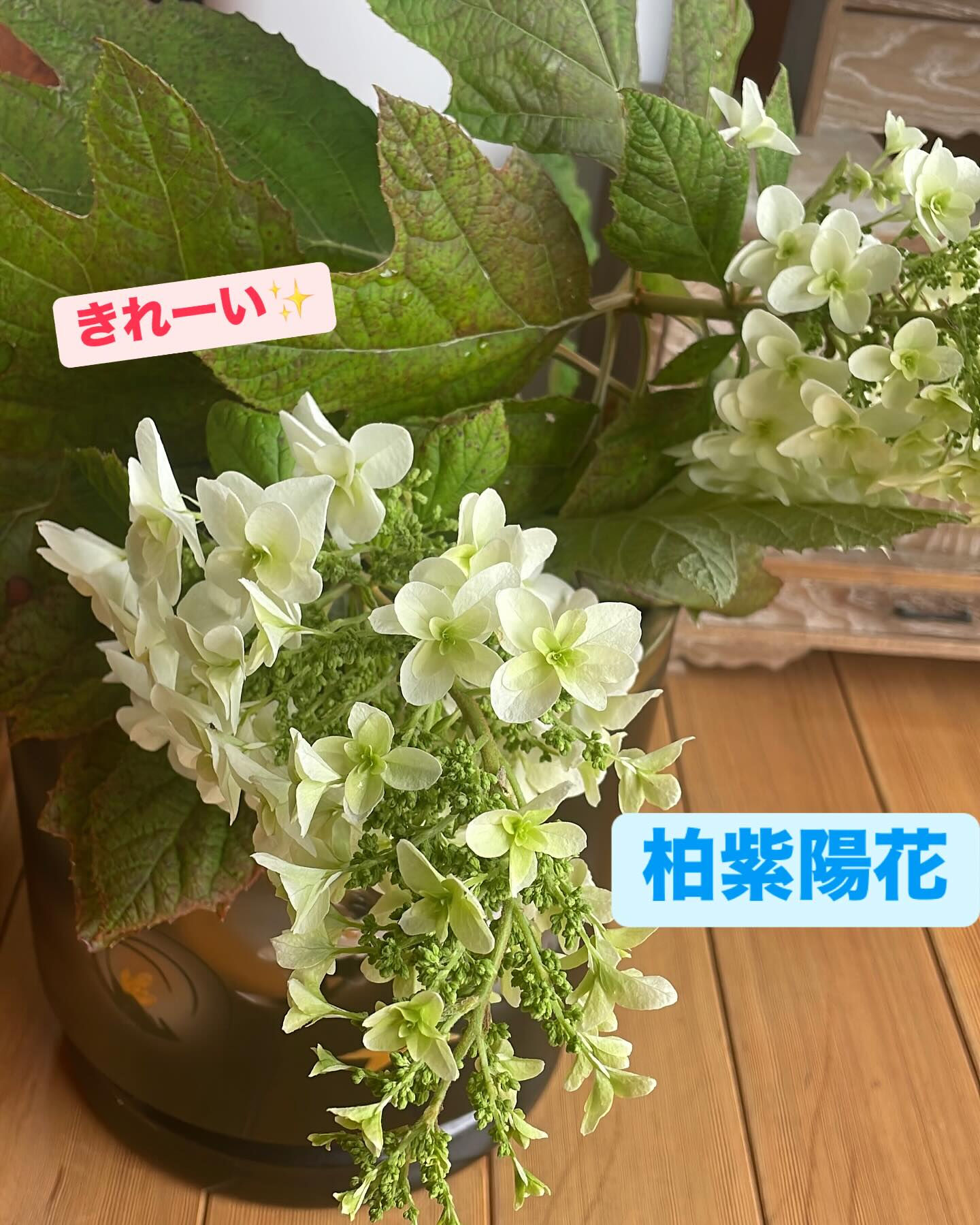 5/25 塩麹と玉ねぎ麹を使ったランチ会に参加