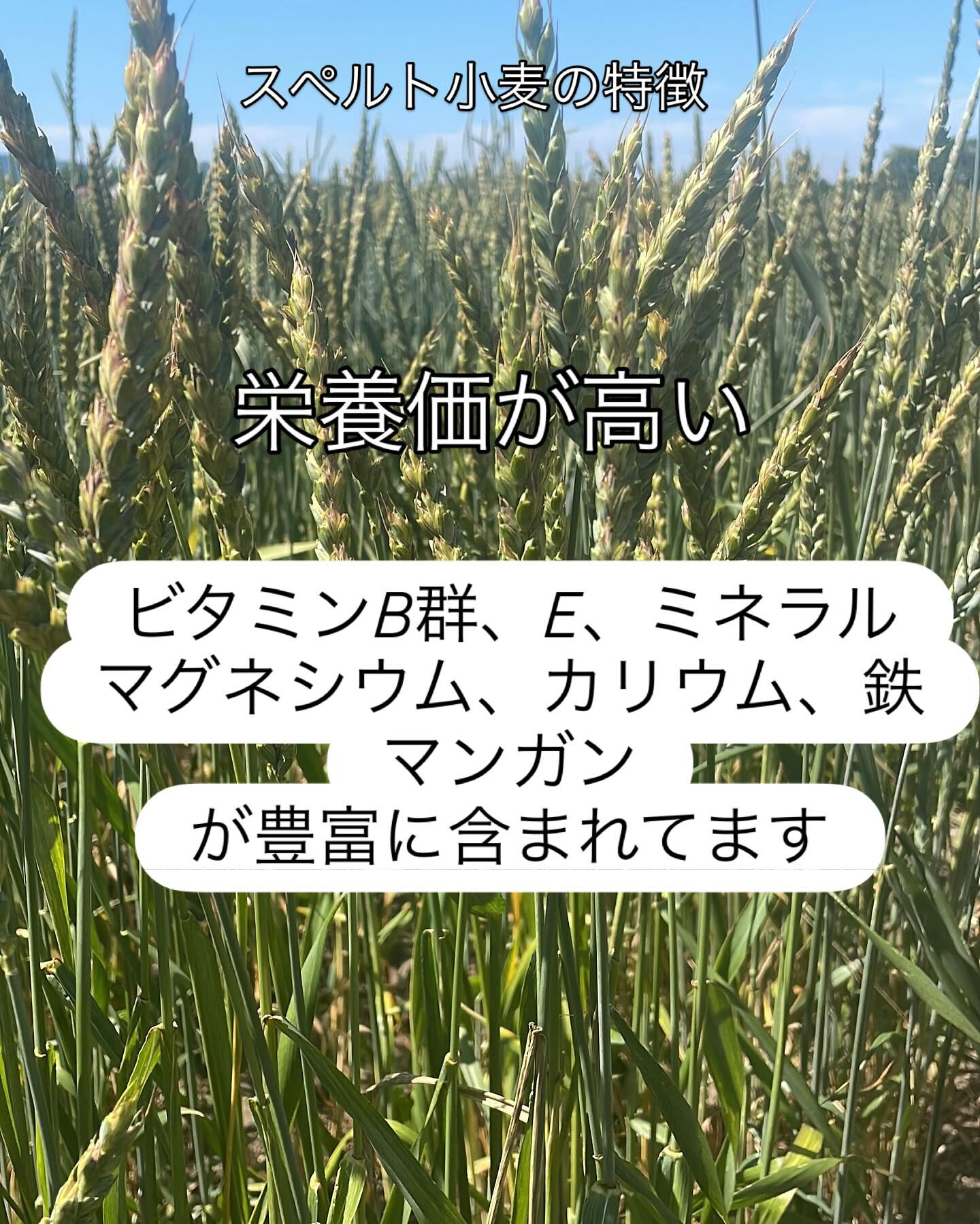 こんにちは