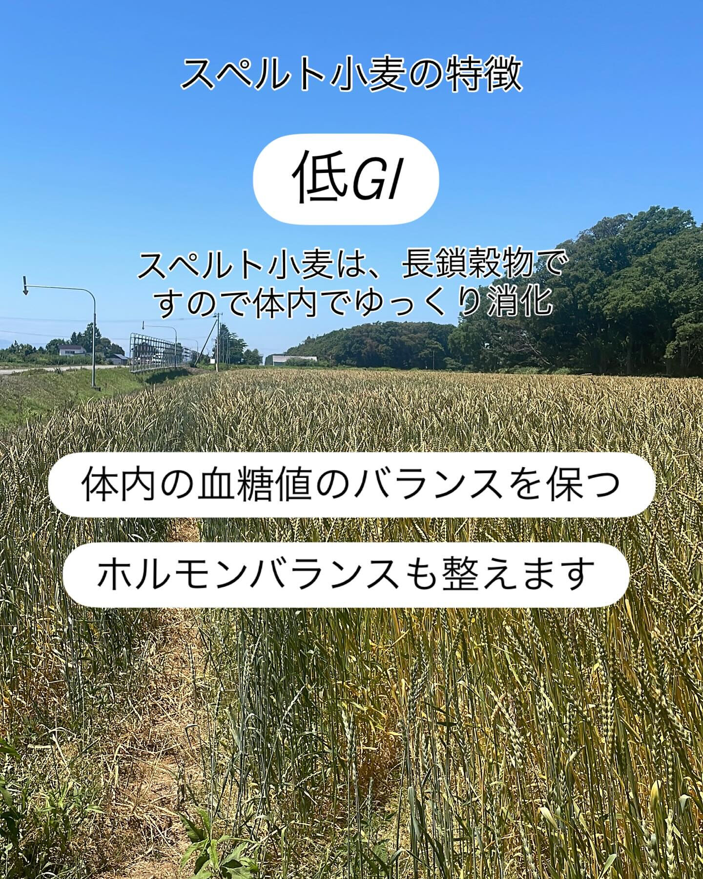 こんにちは