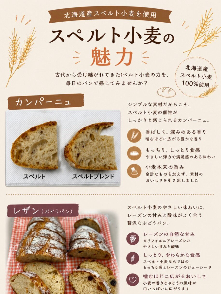 🌾 北海道産スペルト小麦のご紹介